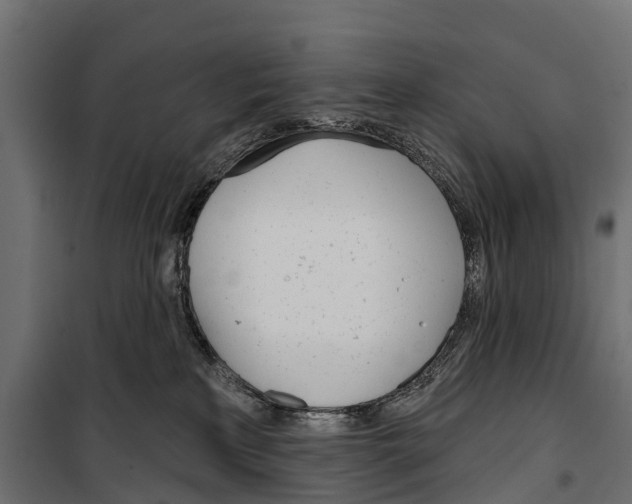 X0000099970233200806201409