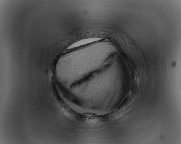 X0000099970235200806201409