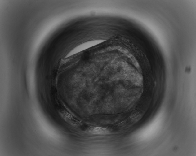 X0000099970239200806201409