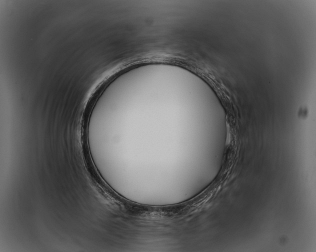 X0000099970244200806201408