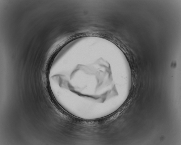 X0000099970245200806201408