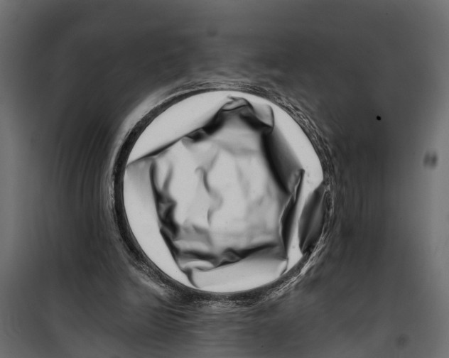 X0000099970246200806201408