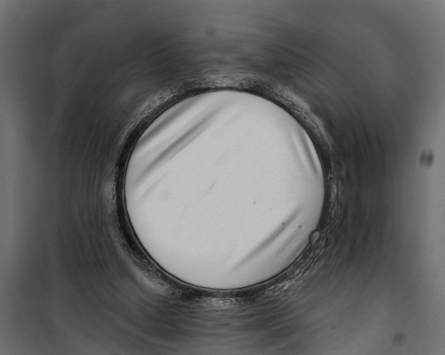 X0000099970250200806201408