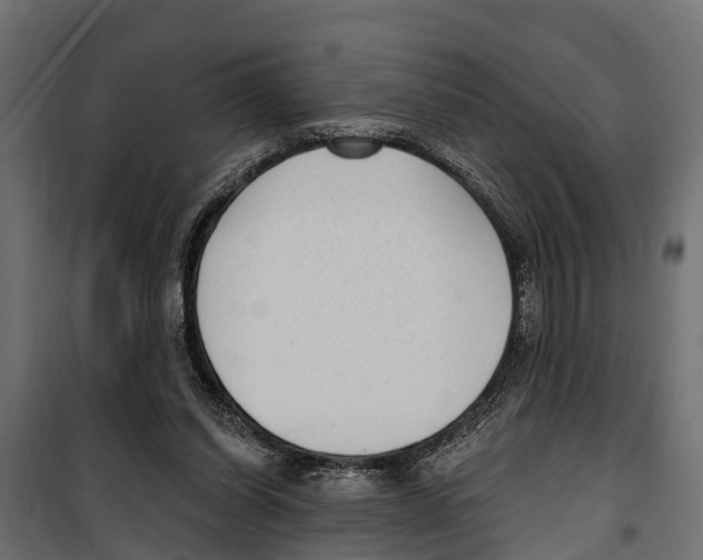 X0000099970254200806201408