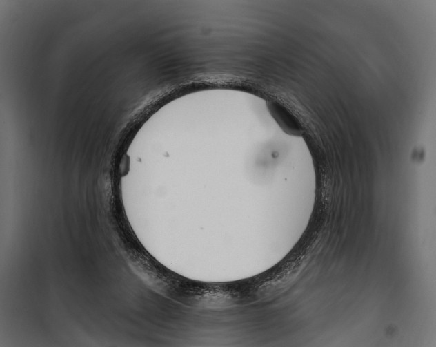 X0000099970256200806201408