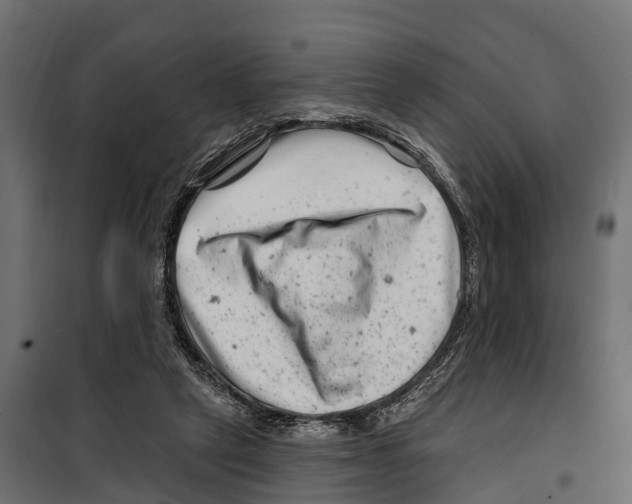 X0000099970257200806201408