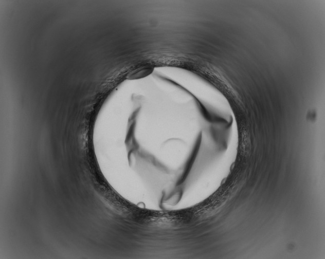 X0000099970259200806201408