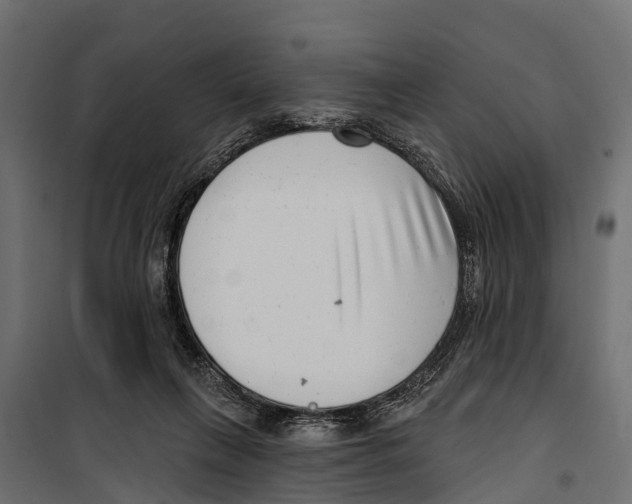 X0000099970263200806201408