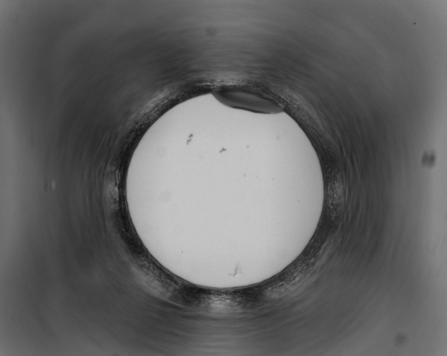 X0000099970264200806201408