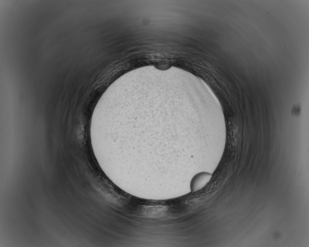 X0000099970266200806201409