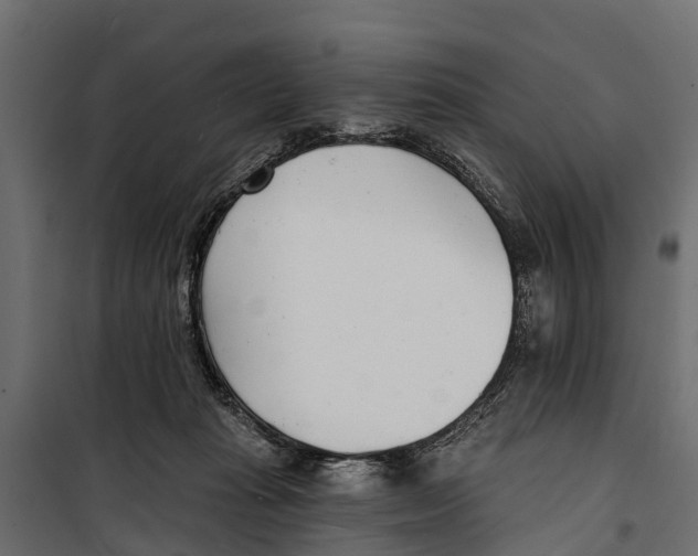 X0000099970269200806201409