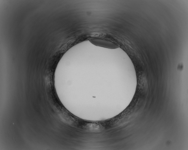 X0000099970272200806201409