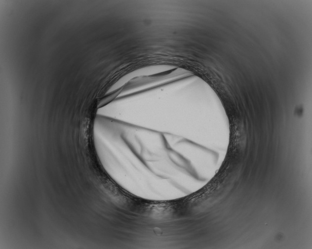 X0000099970275200806201409