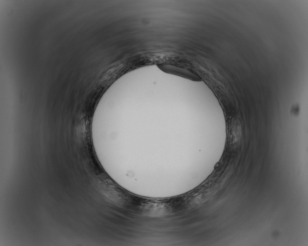 X0000099970276200806201409