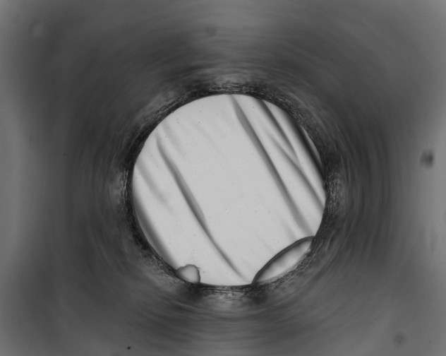 X0000099970278200806201409