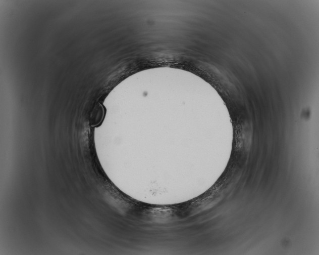 X0000099970279200806201409