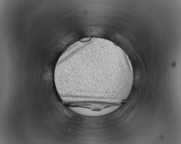 X0000099970282200806201409