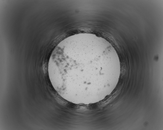 X0000099970285200806201409