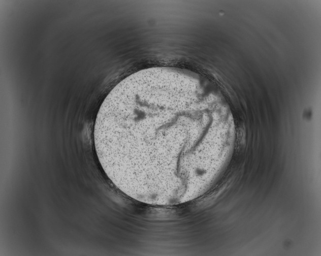 X0000099970286200806201409