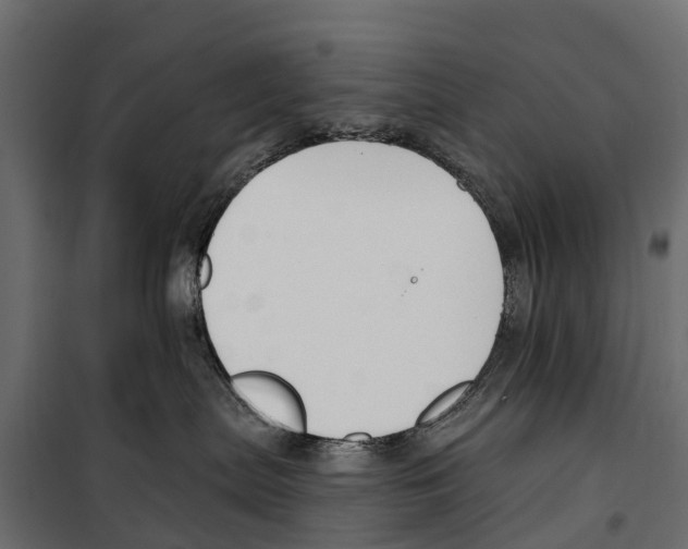 X0000099970287200806201409