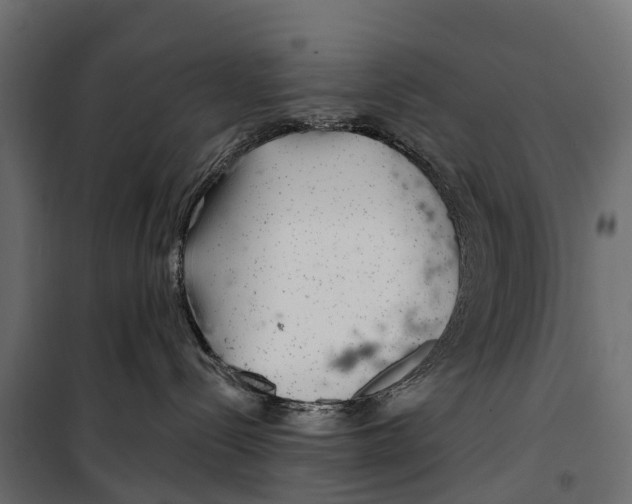 X0000099970288200806201409