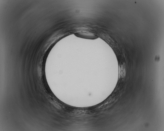 X0000099970291200806201408