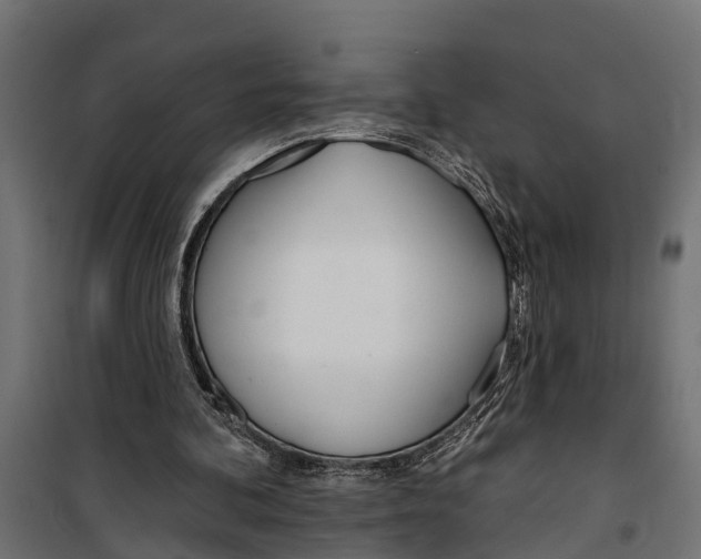 X0000099970292200806201408