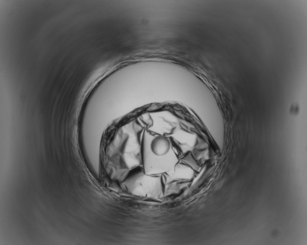 X0000099970293200806201408