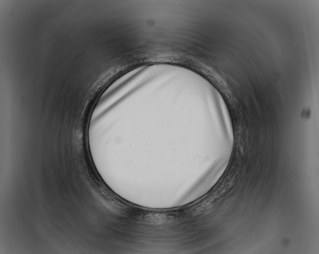 X0000099970298200806201408