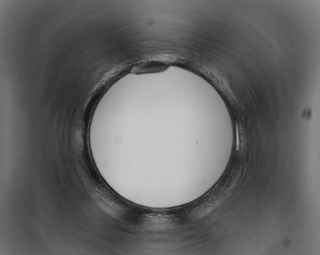 X0000099970300200806201408