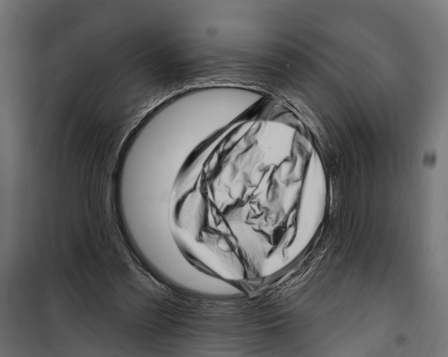 X0000099970301200806201408