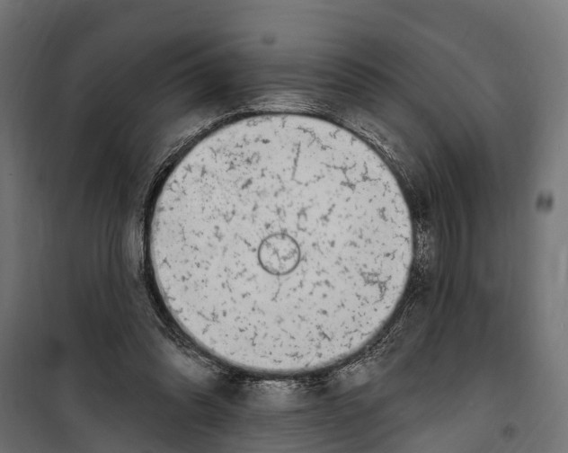 X0000099970302200806201408