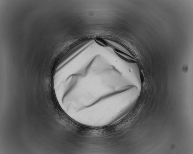 X0000099970306200806201408