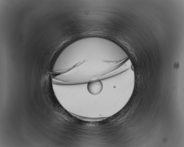 X0000099970308200806201408