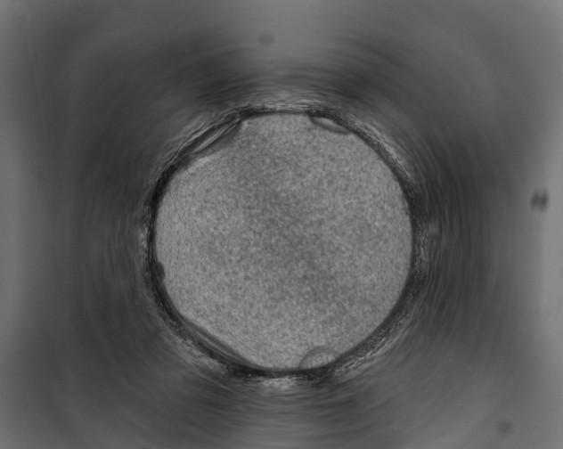 X0000099970309200806201408