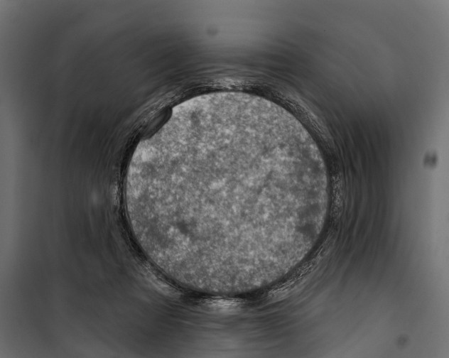 X0000099970313200806201408