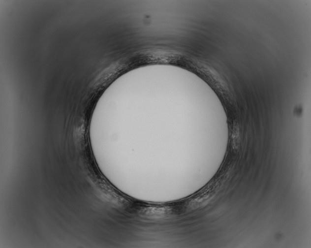 X0000099970314200806201408