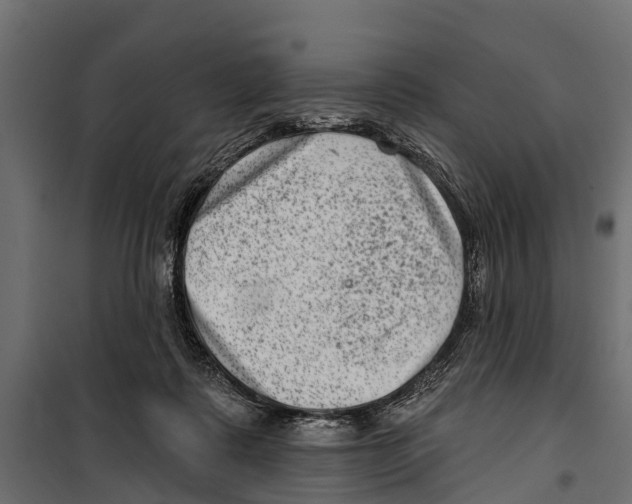 X0000099970315200806201408