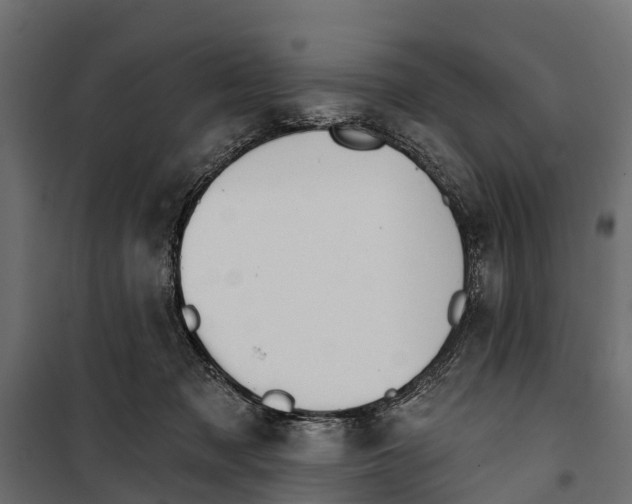 X0000099970317200806201408