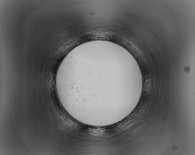 X0000099970318200806201408