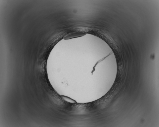 X0000099970325200806201408