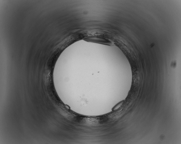 X0000099970327200806201408