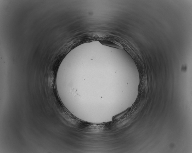 X0000099970328200806201408