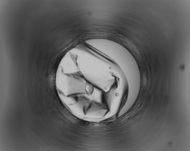 X0000099970329200806201408