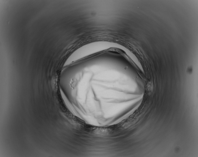 X0000099970332200806201408