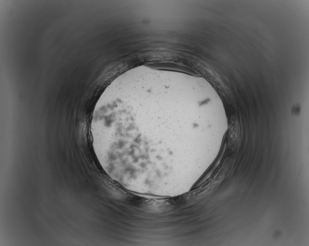 X0000099970333200806201408