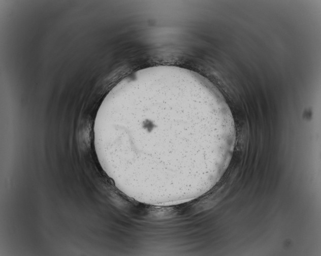 X0000099970334200806201408