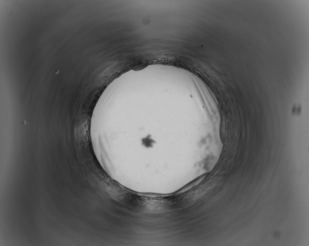 X0000099970336200806201408