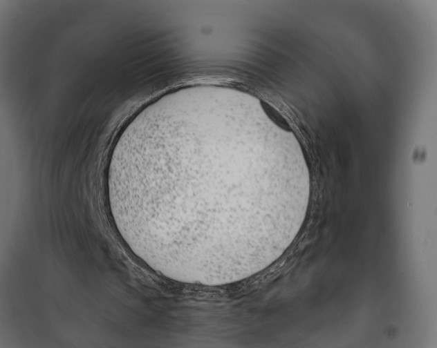 X0000099970337200806201407