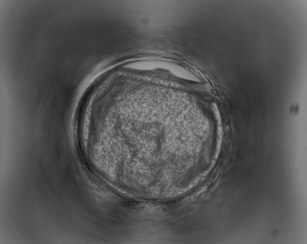 X0000099970343200806201407